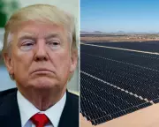 US Renewables Beat Gas for First Time Despite Trump's Anti-Clean Energy Push