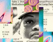 US Soldiers to Receive Psychedelic Therapy for PTSD Next Year