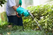 US Supreme Court to Hear Roundup Case That Could Weaken Consumer Lawsuits
