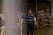Vermont's Dairy Industry Relies on Undocumented Labor Without Basic Rights