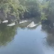 Witness Recalls Distressing Rescue of Mother and Son from River Brent