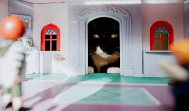 10 Must-Have Items Cat Owners Swear By to Pet-Proof Your Home