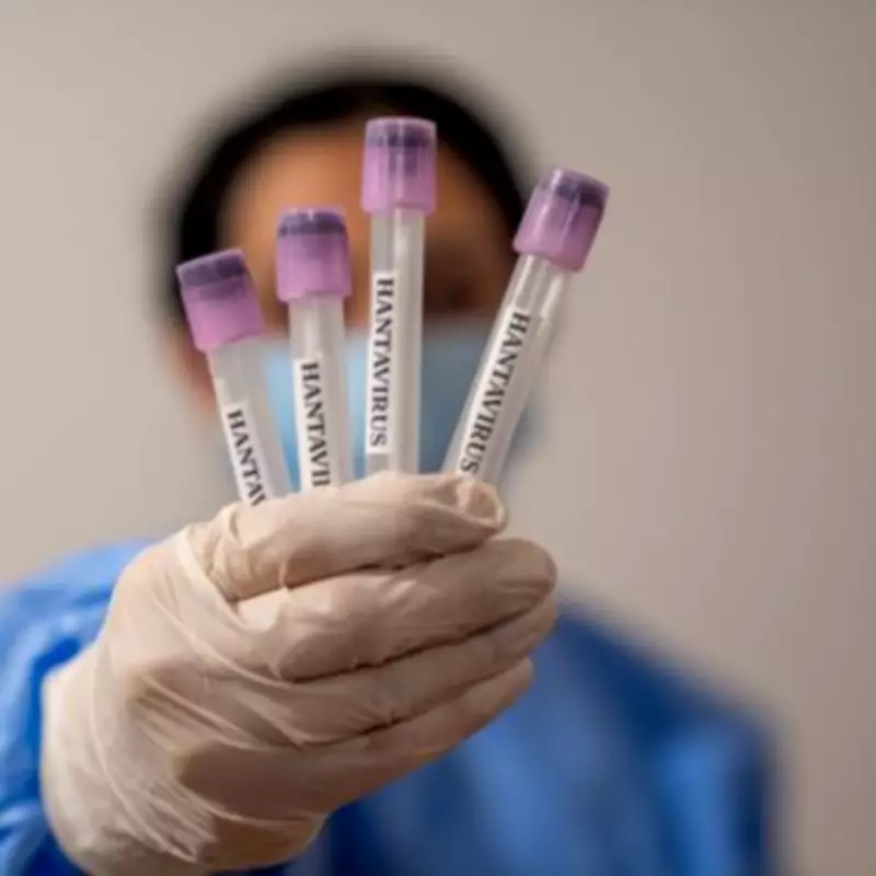 22 Britons to Be Tested for Hantavirus Before Repatriation Flight to UK