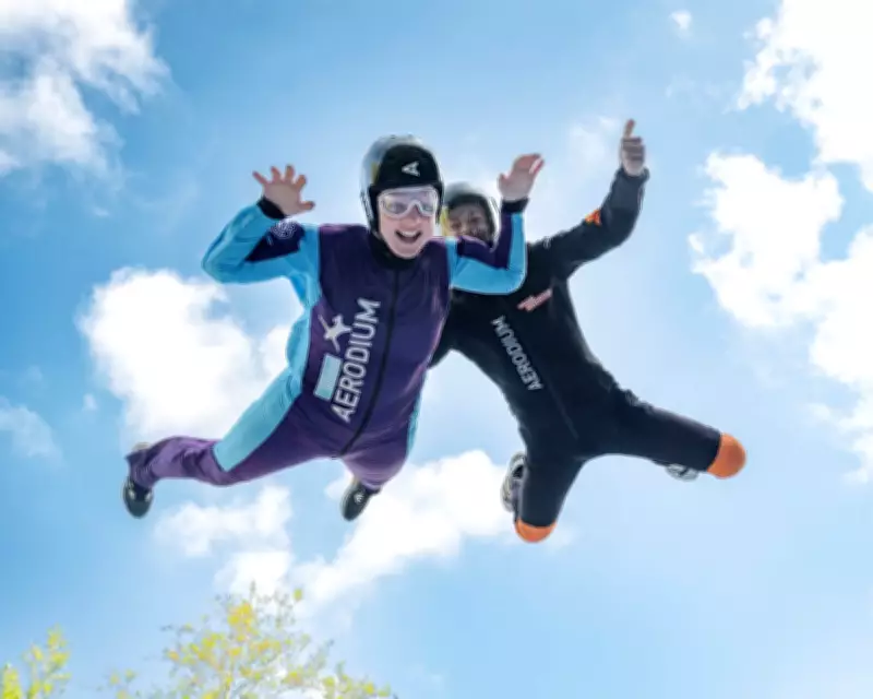49 Ways to Have Fun Right Now: From Skydiving in a Wind Tunnel to Counting Dogs