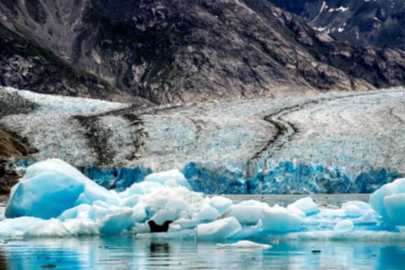 Alaska Mega Tsunami Highlights Growing Risk to Cruise Ships from Glacier Retreat