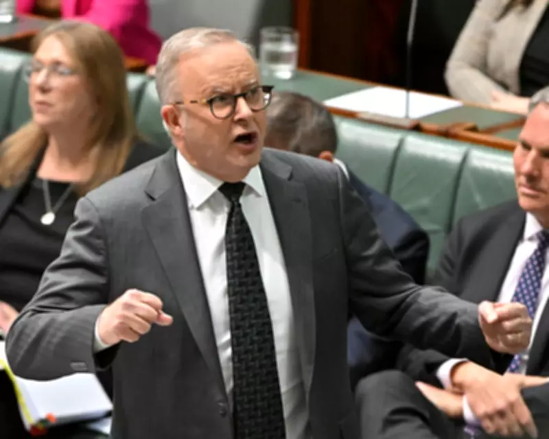 Albanese Pushes Forward with Labor Budget Tax Reform Plans