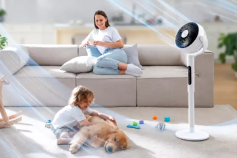 Amazon Slashes Levoit Pedestal Fan Price: Beat the Heat on a Budget