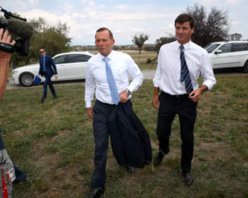 Angus Taylor Rocks in His Head: Tony Abbott Named Liberal Party President