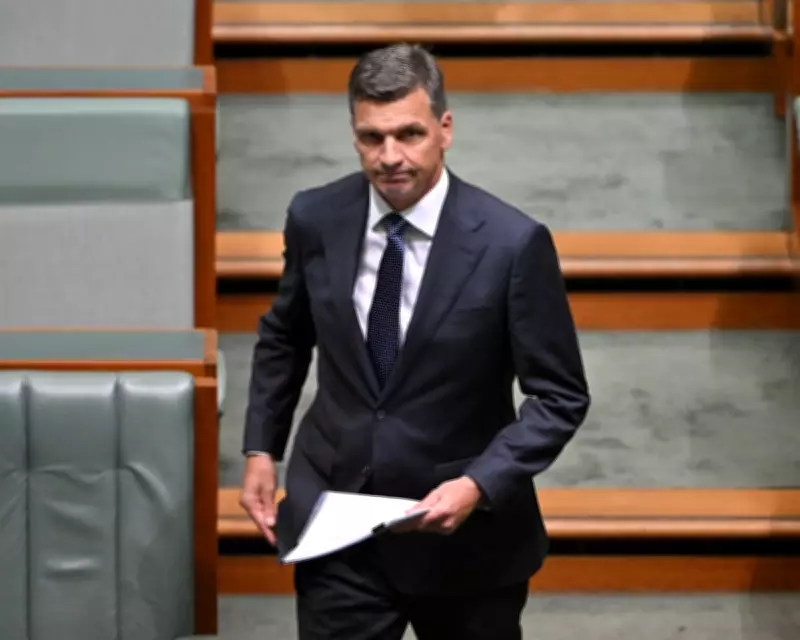 Angus Taylor Unveils Tax Plan as Coles Faces $200M Fines Over Fake Discounts