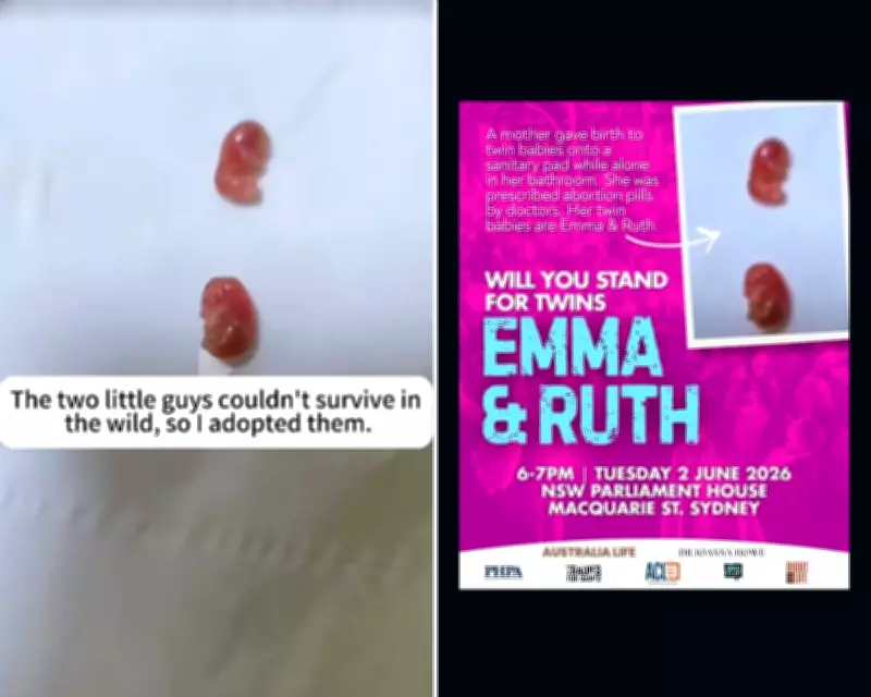 Anti-Abortion Activist's 'Twin Babies' Image Identified as Sugar Gliders