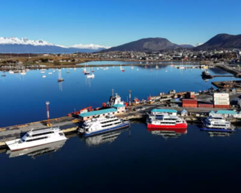 Argentina Faces Hantavirus Scrutiny After Cruise Deaths, Experts Cite Climate Change