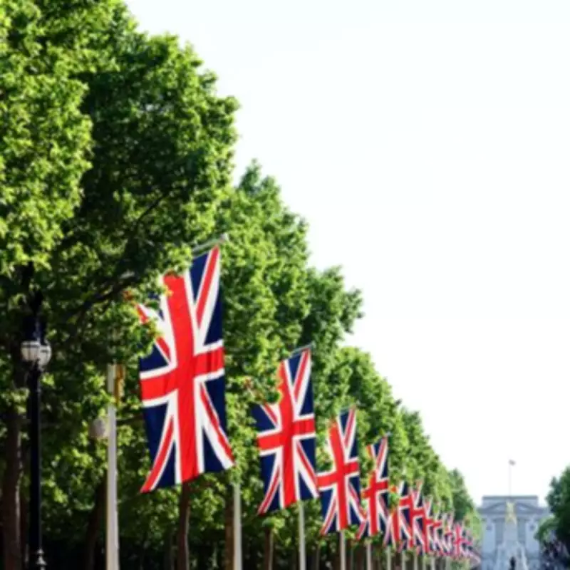 Armed Police Evacuate Horse Guards Parade Near Buckingham Palace