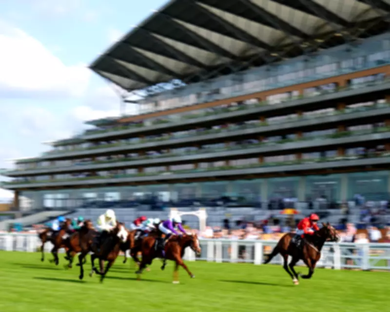 Ascot's Resignation from RCA Sparks Racing Governance Crisis