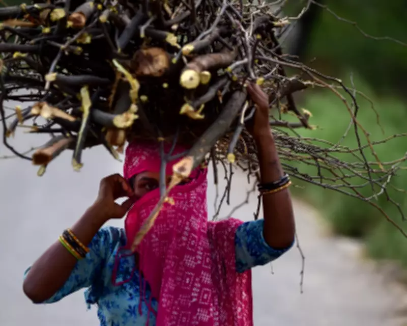 Asia's Cooking Gas Crisis: Families Return to Firewood as Prices Soar
