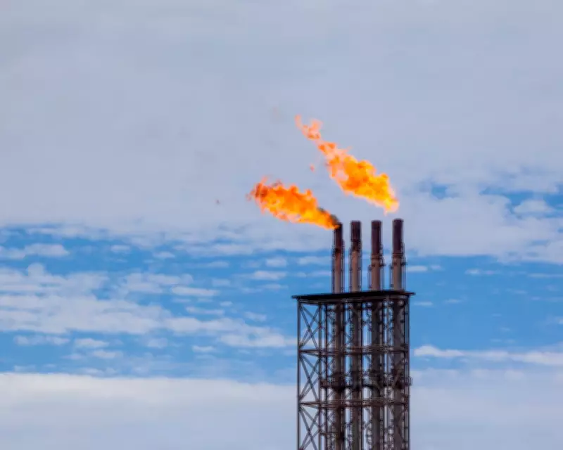 Australia's Gas Usage Peaks and Enters Structural Decline, Grattan Report Finds
