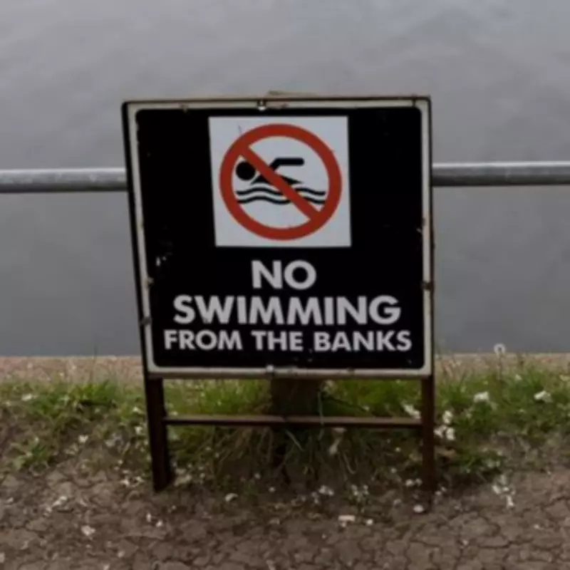 Backlash Grows Over Swimmers in Hampstead Heath Wildlife Ponds