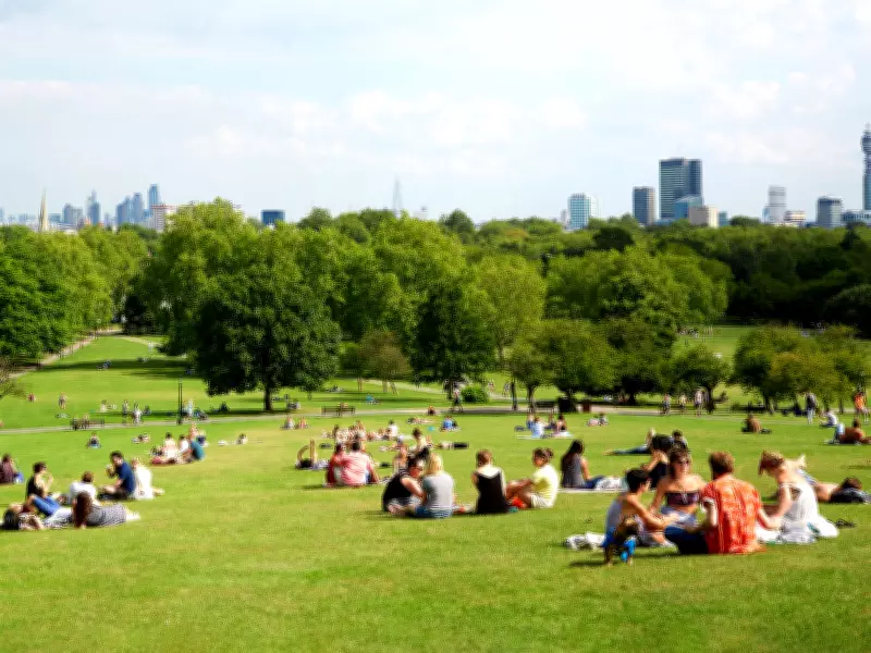 Best Picnic Spots on Hampstead Heath: Views, Ponds & Tips