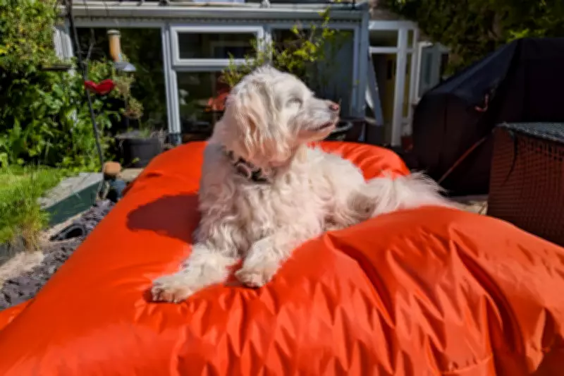 Big Bertha: Ultimate Outdoor Bean Bag for Comfortable Garden Seating