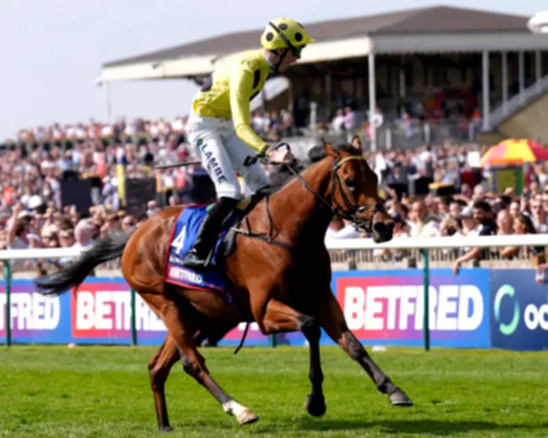 Billy Loughnane Wins 2,000 Guineas in Stunning Classic Debut