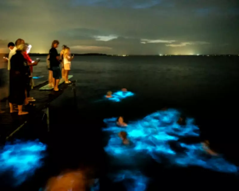 Bioluminescent Algae Used to Create 3D-Printed Light Structures