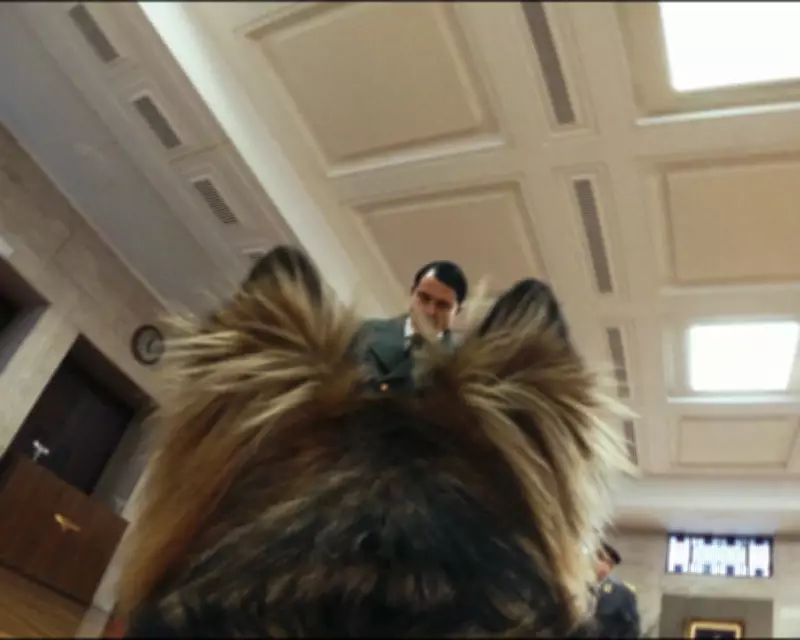 Blondi: A Dog's-Eye View of Hitler's Bunker in New Film
