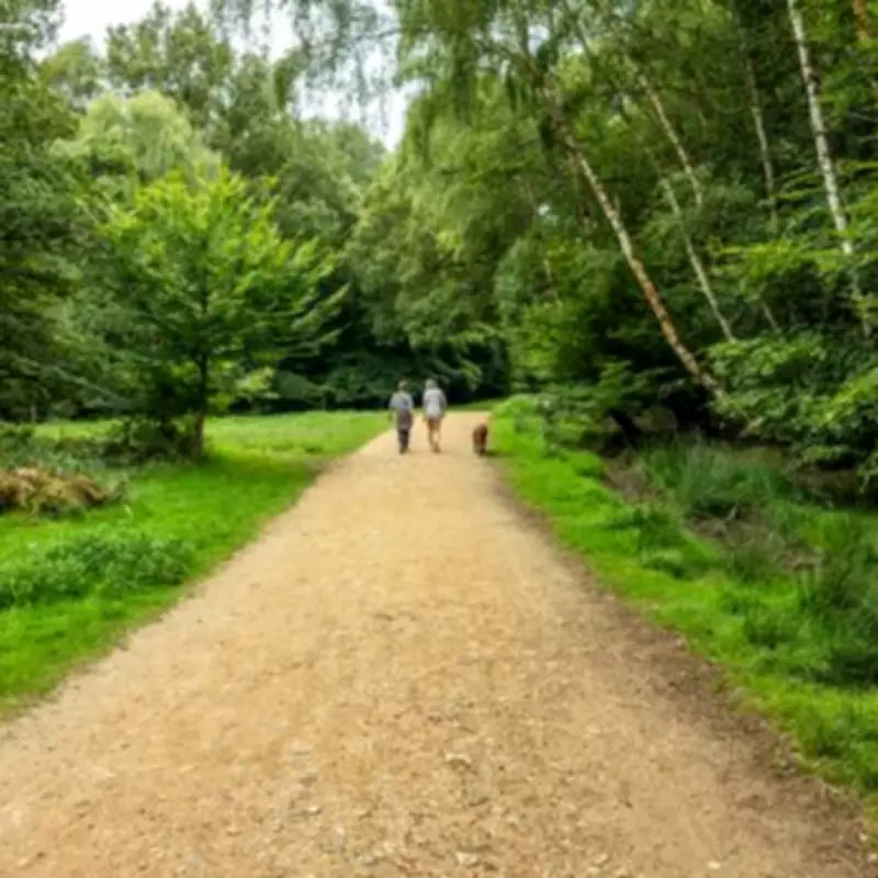 Brambly Hedge Sculpture Trail in Epping Forest: Family Walk