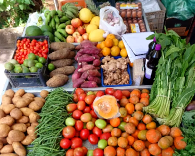Brazil's Hospitals Phase Out Ultra-Processed Foods for Healthier Menus