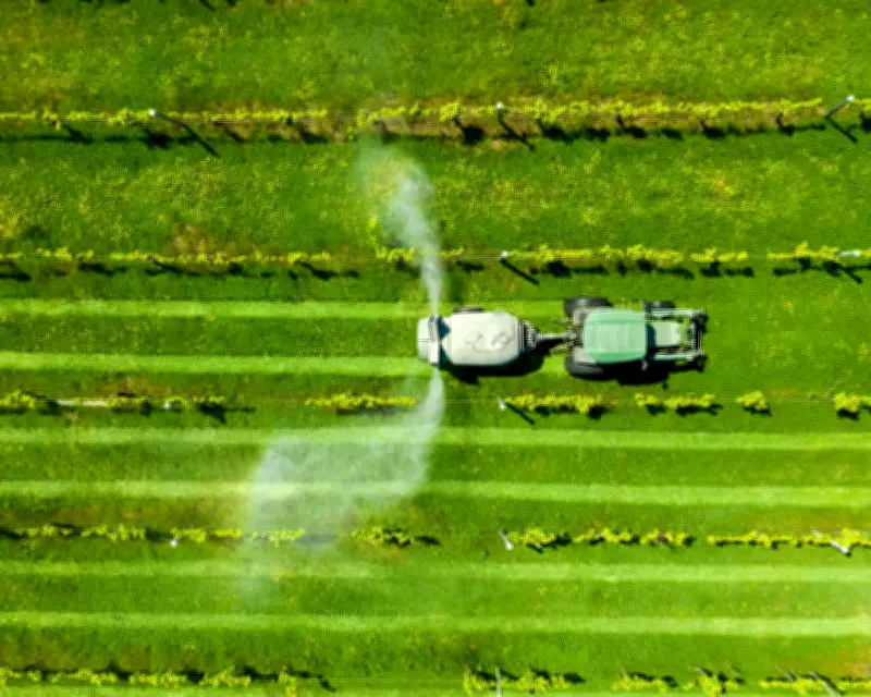 Breaking Free from Oil: Alternatives to Petrochemicals in Daily Life