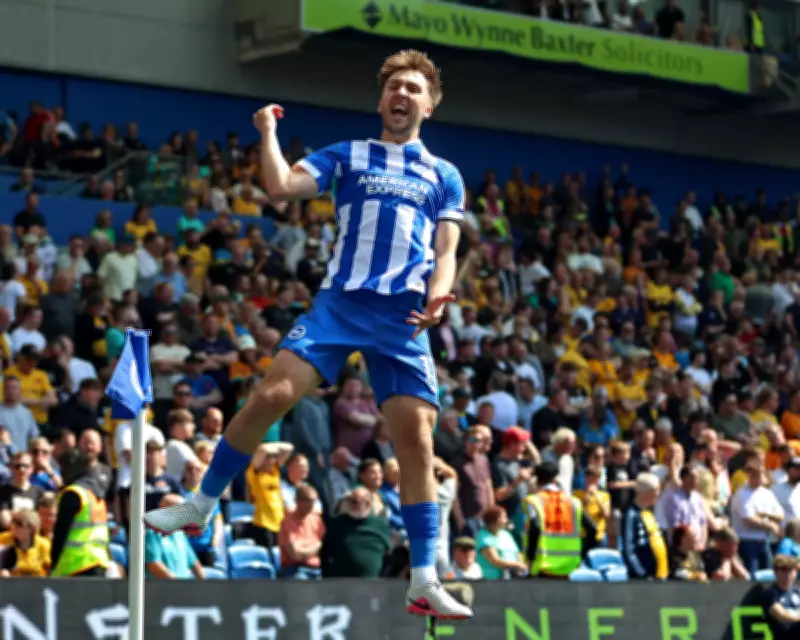Brighton Thrash Relegated Wolves 3-0 to Boost European Hopes