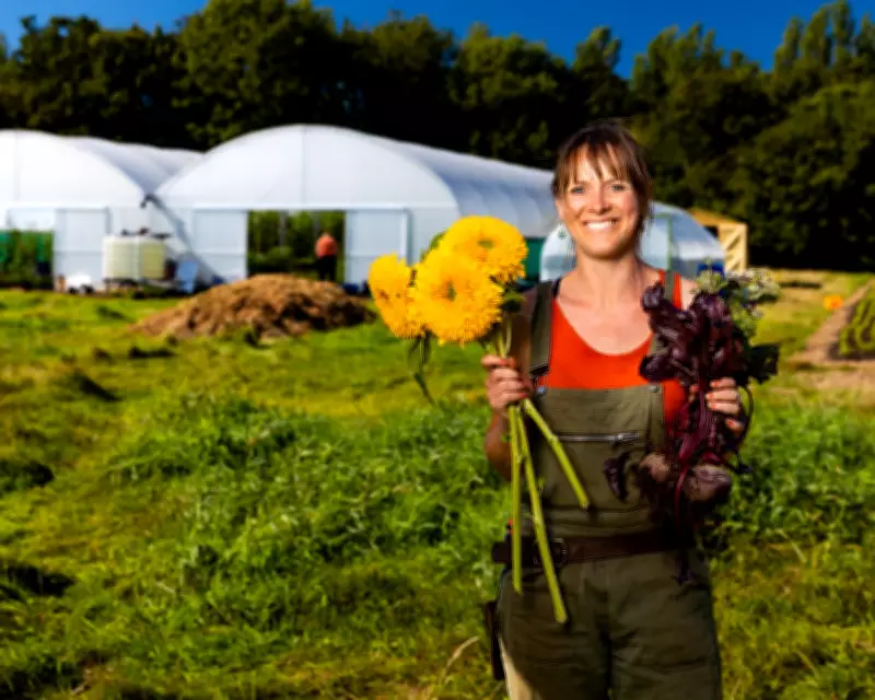 British Flower Farms Bloom as Sales Surge and Government Grants Official Status