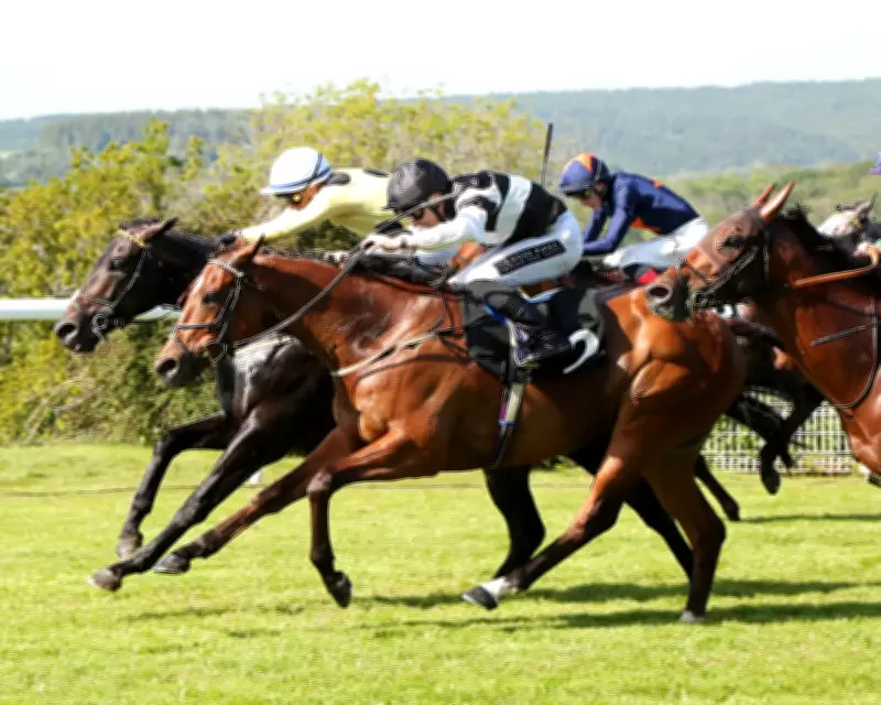 British Trainers Urged to Stay Vigilant as Equine Flu Cases Surge