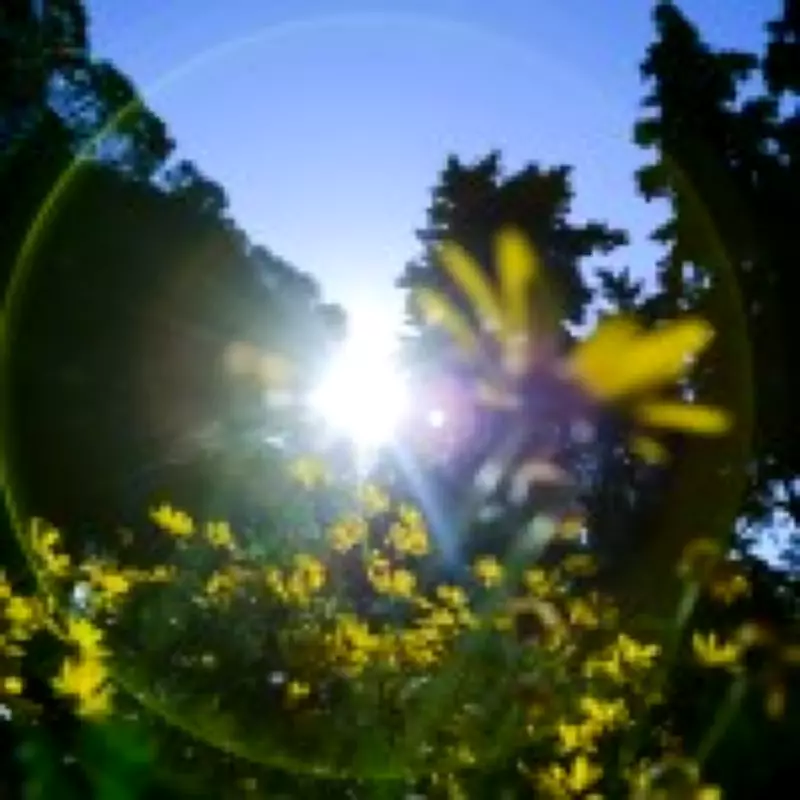 Brits Warned: Heatwave Mistake Could Cost Thousands in Garden Repairs