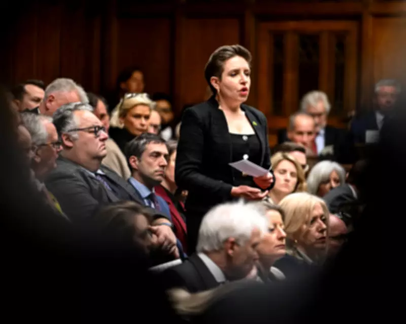 Burnout Britain Affects Politicians Too: Give Carla Denyer a Break