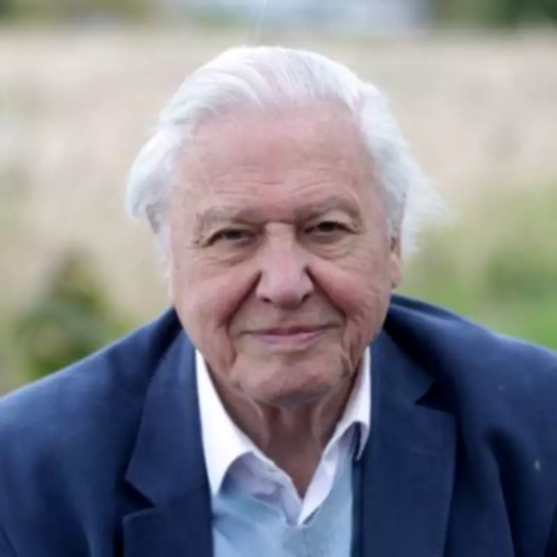 Calls to Rename South London Tube Station After David Attenborough