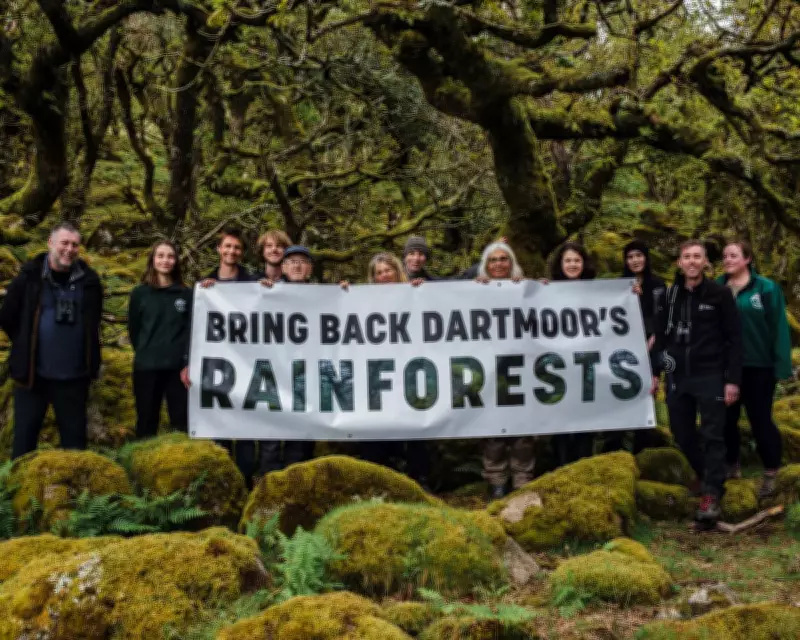 Campaign to Double England's Temperate Rainforest Launches on Dartmoor