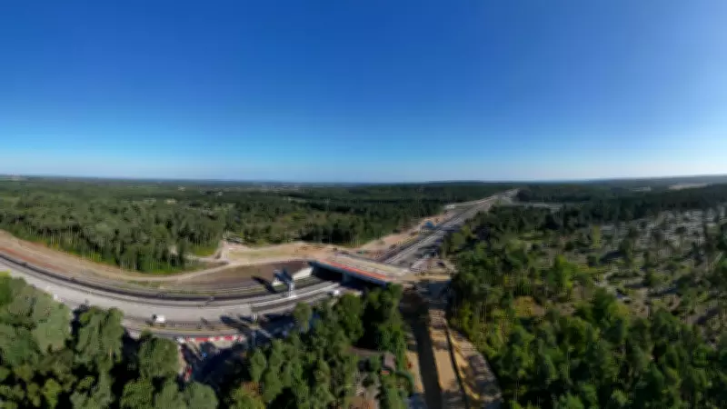 Can Green Bridges Help Animals Cross UK Motorways Safely?