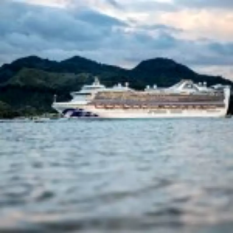 Caribbean Princess Cruise Hit by Norovirus Outbreak Affecting Over 100
