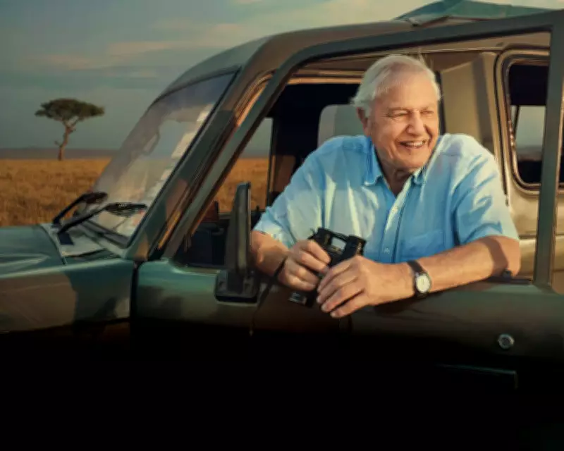 Celebrating Attenborough: A Tribute to the Greatest Broadcaster