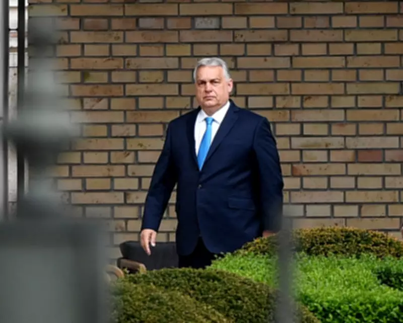 Central Europe: A Laboratory for Political Trends