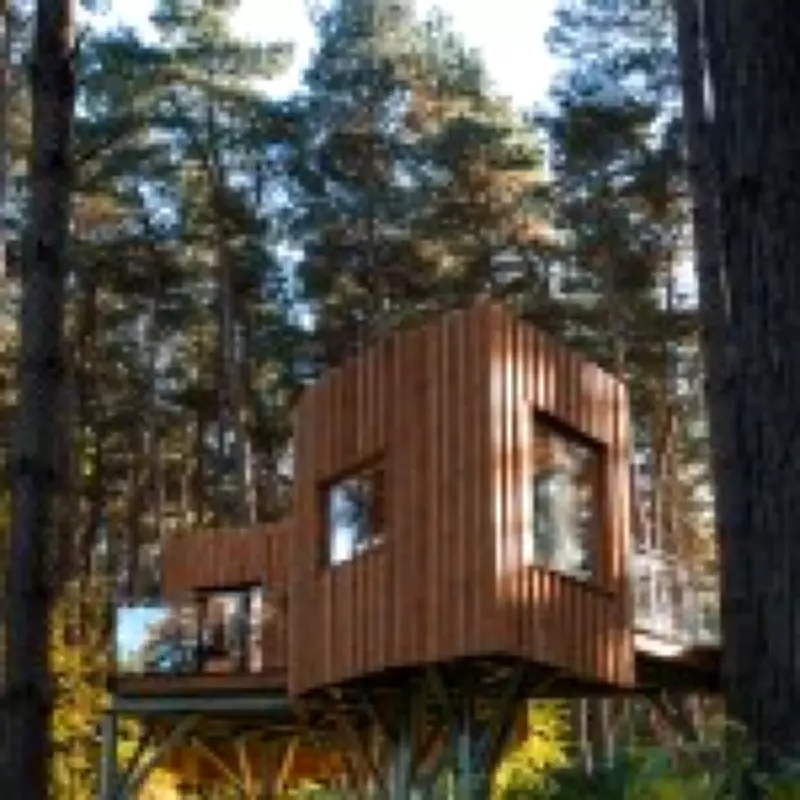 Cotswolds Treehouse Retreat: Stress Relief and Better Sleep in Nature