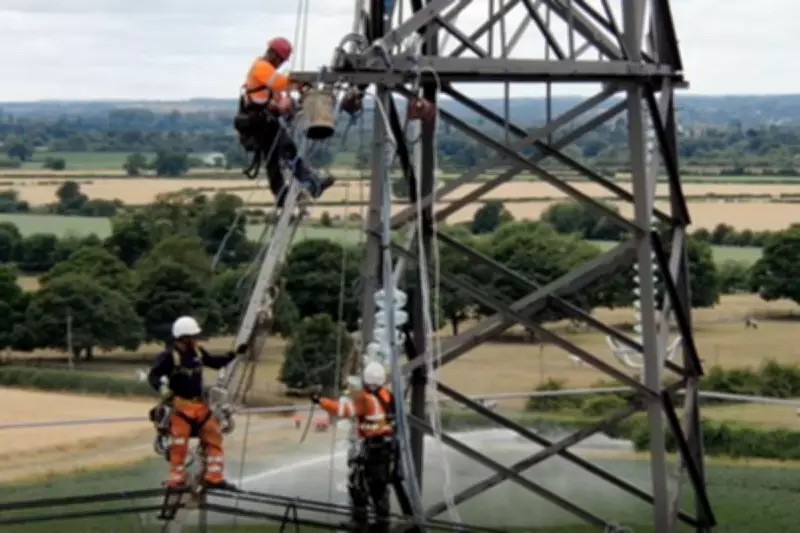 Could Utilities Stocks Power Your Portfolio? Analysts Weigh In