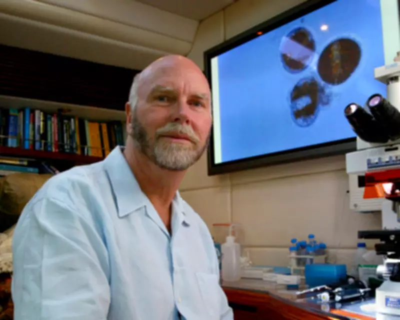 Craig Venter, Pioneering Geneticist Who Sequenced Human Genome, Dies at 79