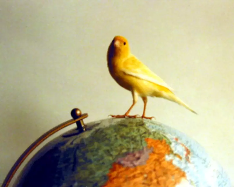 Crispin the Canary: A Tiny Bird with a Giant Ego and a Big Heart