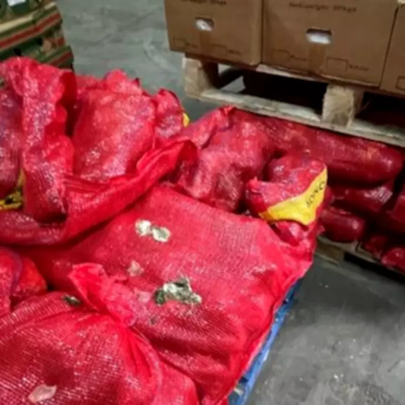 Croydon Fruit Seller Fined £107K Over Rat and Pigeon Droppings in Food