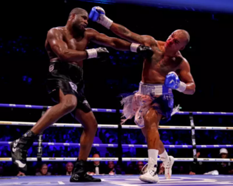 Daniel Dubois Stops Fabio Wardley in Bloody 11th Round to Win WBO Heavyweight Title