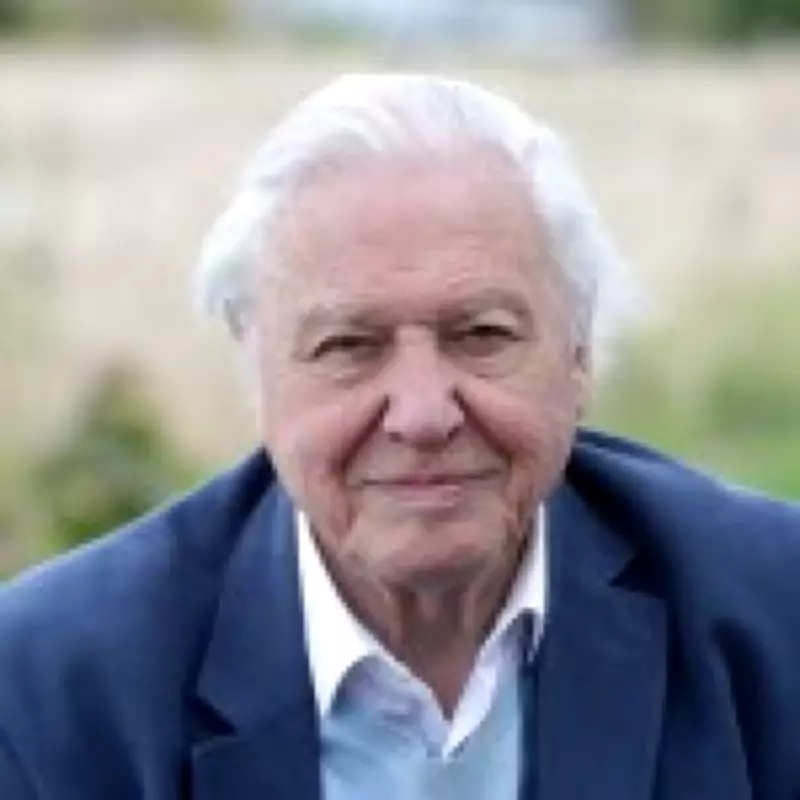 David Attenborough Turns 100: The One Label He 'Hates' Being Called