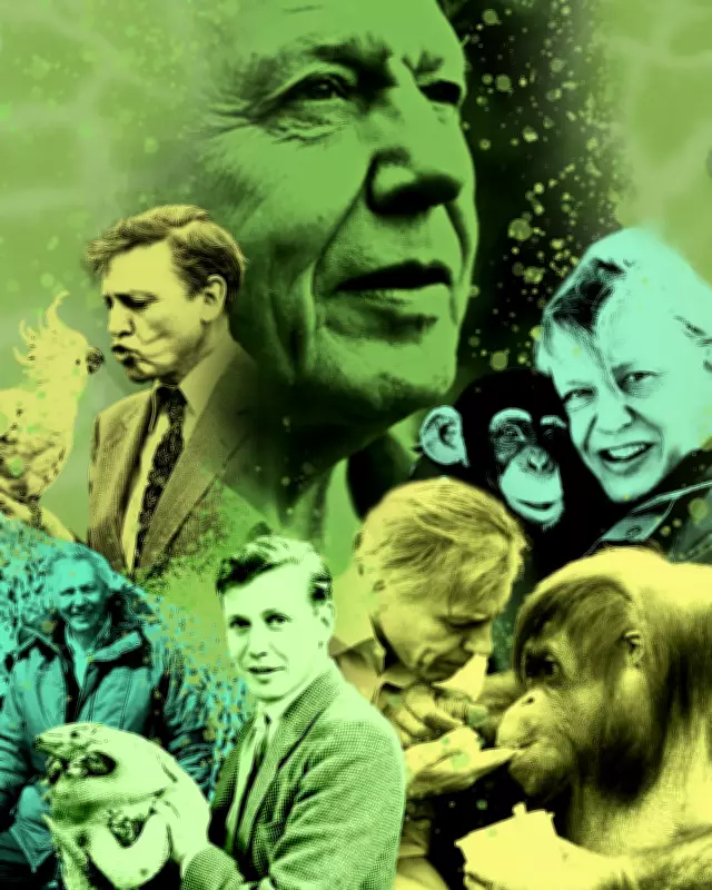 David Attenborough's 100 Most Spectacular TV Moments at 100