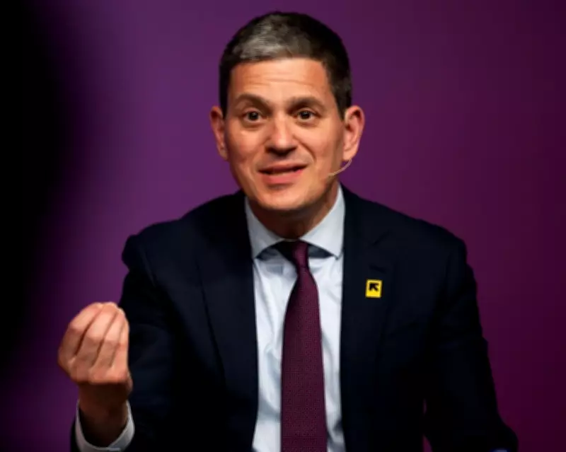 David Miliband calls for UK 'national consensus' on rejoining EU