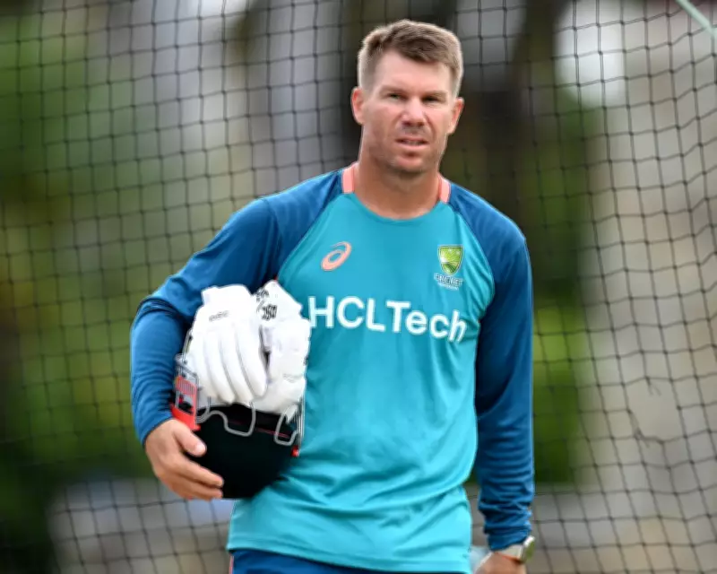 David Warner's Lawyer Calls Drink Driving 'Foolish and Reckless'