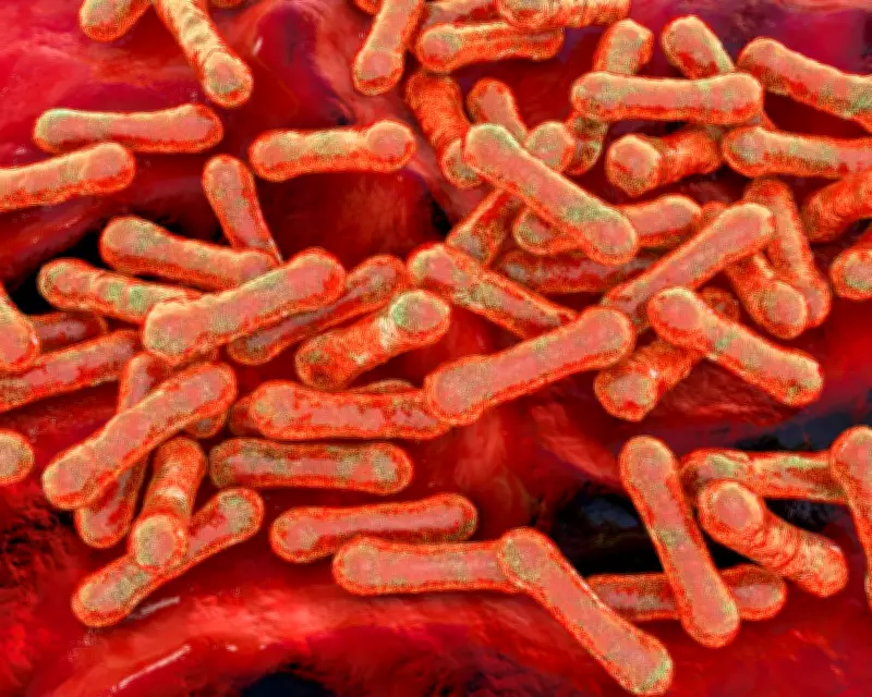 Diphtheria Outbreak Exposes Health Gap in Remote Indigenous Communities